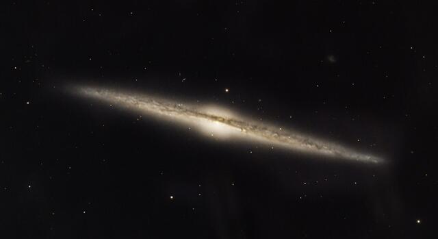 Die Galaxie NGC4565. Eine Welteninsel von der Seite betrachtet | Foto: Günter Kleinschuster