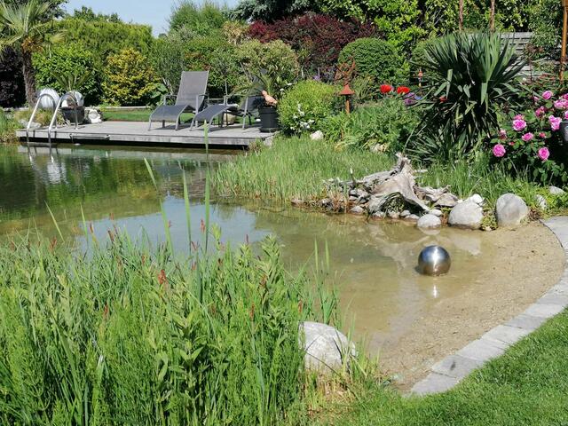 Dagmar Czeipek | Foto: privat