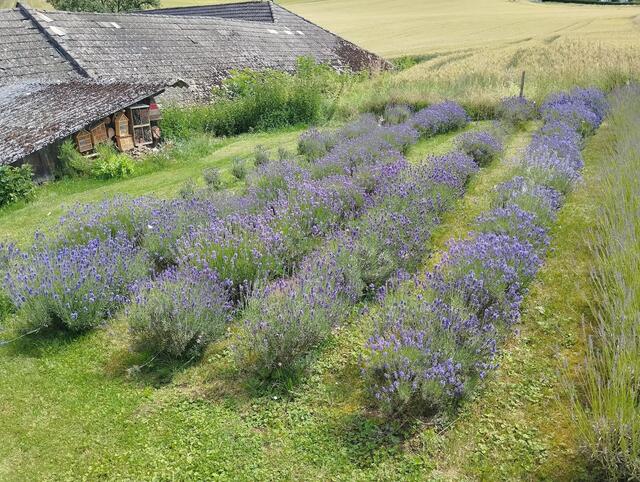 Natascha Tobolka | Foto: privat