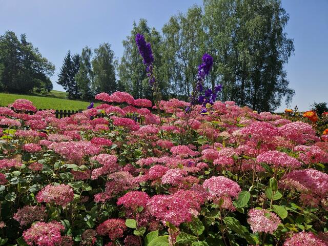  Martin Prock  | Foto: privat