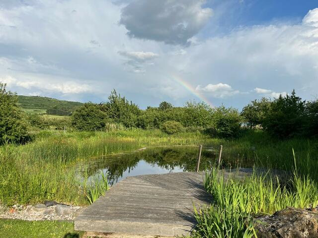 Christa Böhm | Foto: privat