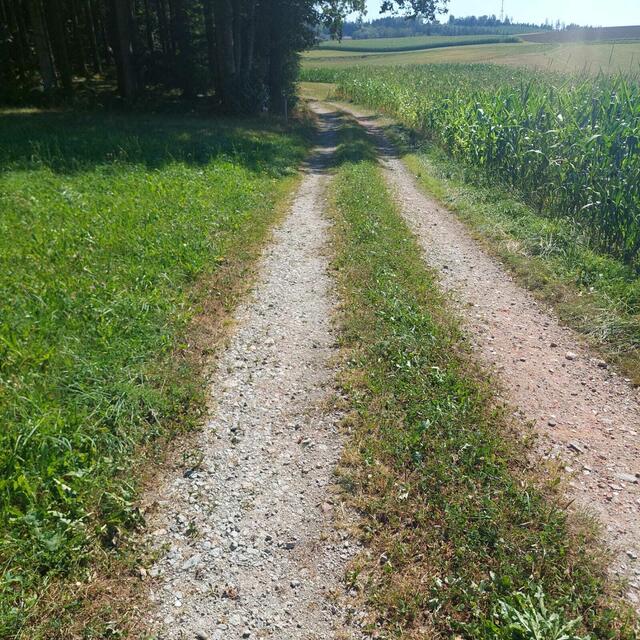 9 Kilometer geht's vom ehemaligen Grenzübergang Saming am romantischen Mühlbach entlang durch Au- und Waldlandschaften nahe Hanzing bis in den Marien-Wallfahrtsort Schardenberg.  | Foto: Gemeinde Freinberg