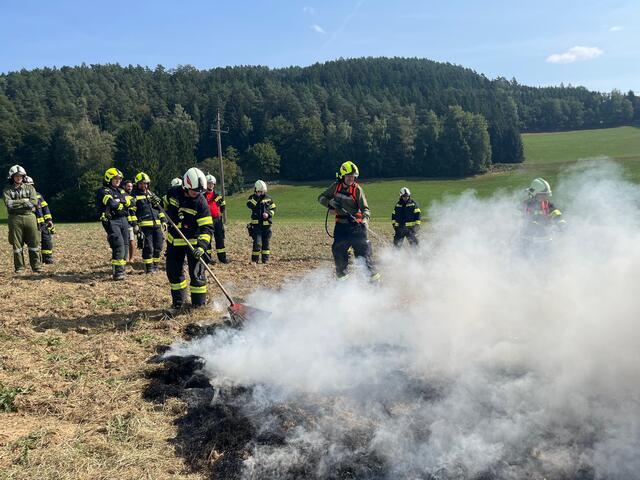 Foto: Georg Riernößl / AFKDO Pregarten