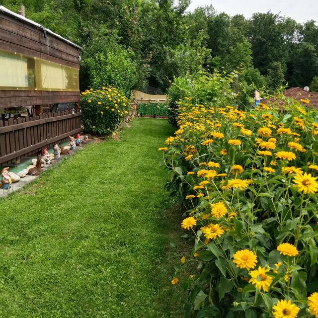 Mühlbacher Margareta | Foto: privat