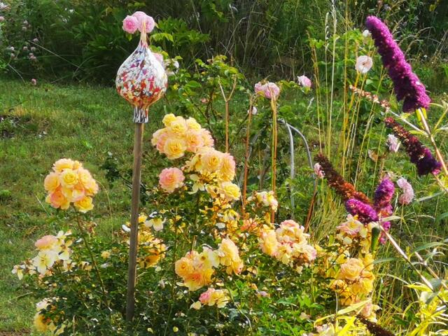 Brigitta Nebosis  | Foto: privat