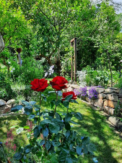 Helga und Erich WALDHERR | Foto: privat