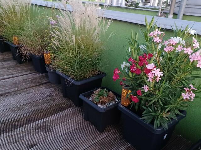 Kaincz Elvira | Foto: privat