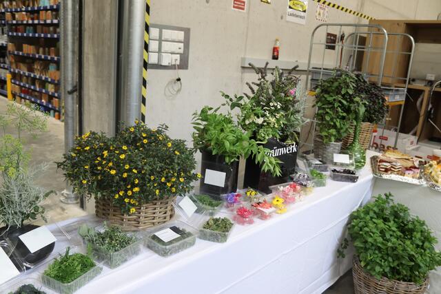 Foto: Elisabeth Zangerl