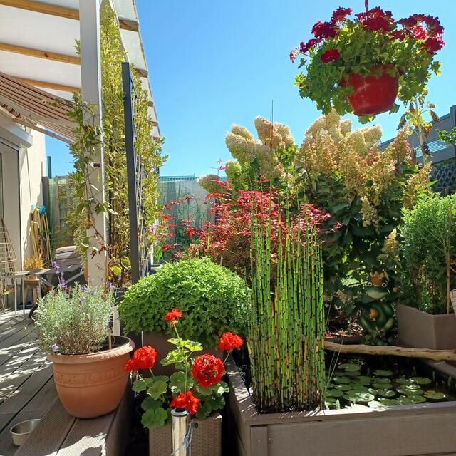 Elfi Doleschal  | Foto: privat