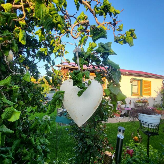 Maria Hintz | Foto: privat