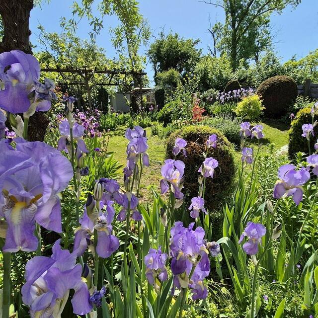 Helga Vystavel | Foto: privat