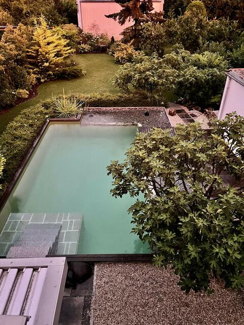 Larissa Faltus | Foto: privat