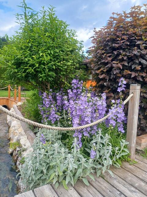 Michi Grafeneder | Foto: privat