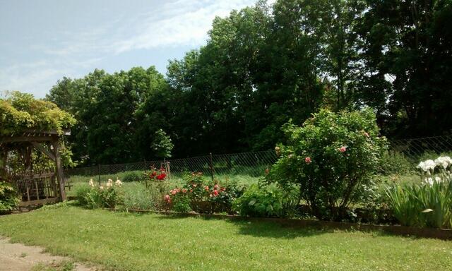 Ilse Wolf | Foto: privat