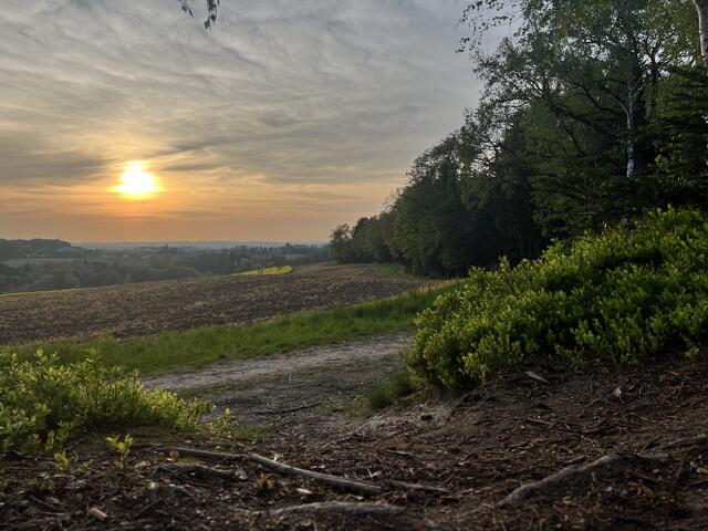 Der vier Kilometer lange Kniaschinder-Wanderweg in Freiberg führt über schattige, leicht ansteigende Wald-, Feld- und Güterwege und bietet herrliche Ausblicke in die hügelige Landschaft. | Foto: Gemeinde Freinberg
