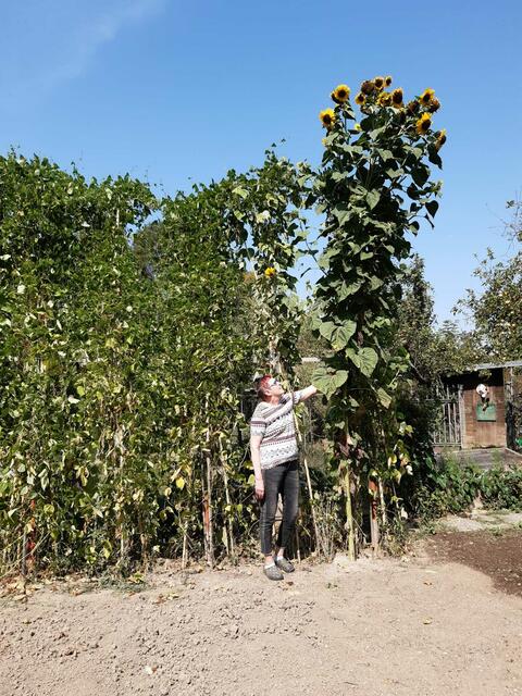 Brigitte Wernert | Foto: privat