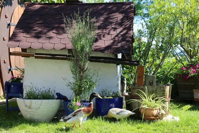 Barbara Schneider | Foto: privat