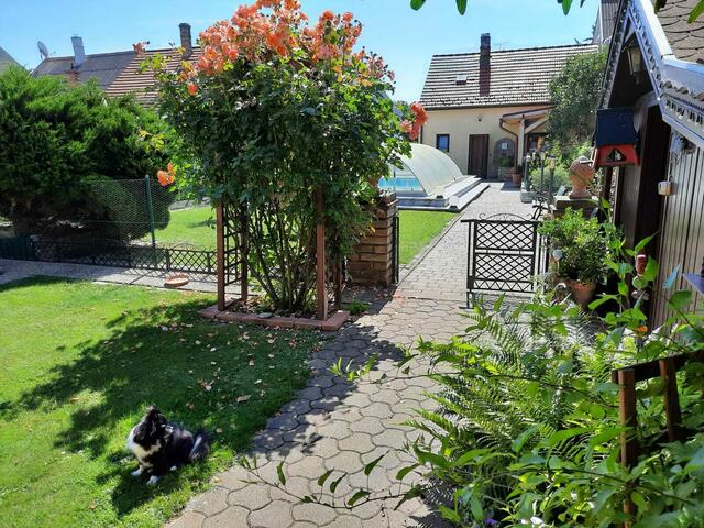 Ilse Zartl | Foto: privat