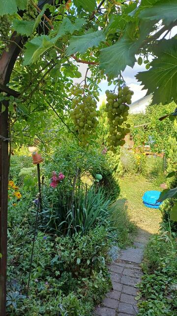 Brigitte Griesmayer | Foto: privat