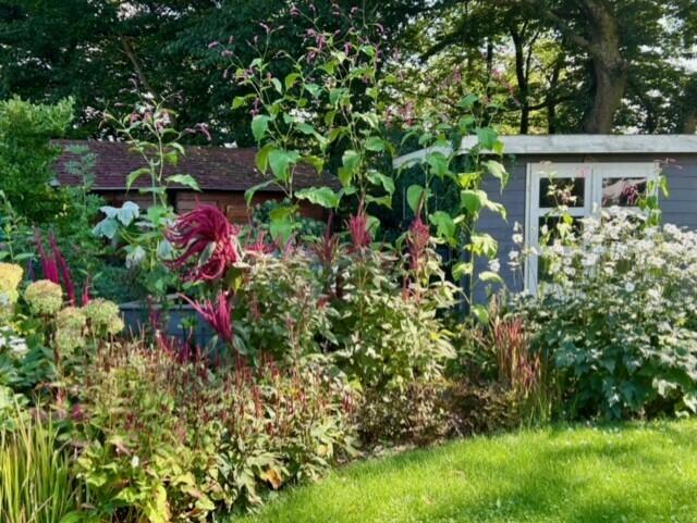 Familie Prankl | Foto: privat