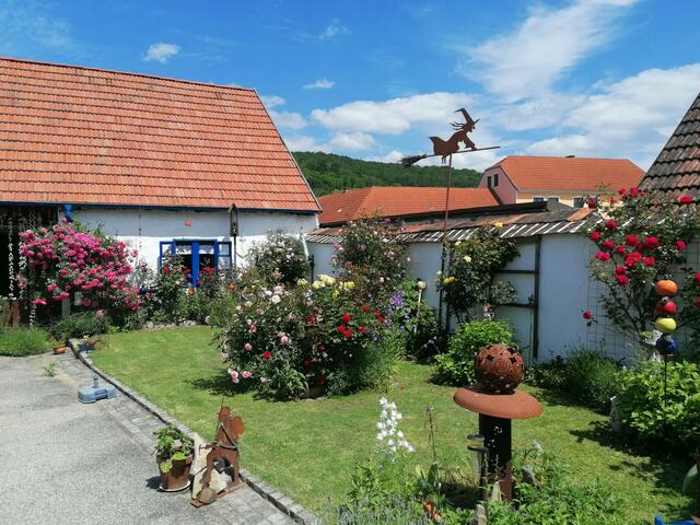 Helene Obenaus | Foto: privat