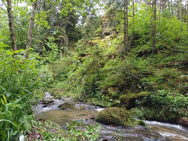 Der rund 6,5 Kilometer lange Rundweg startet beim Wirt z'Waging und führt die Wanderer entlang sagenumwobener Felsen und mehr. Vom Felsen hoch über dem Schnolzenbach soll einst der Teufel gepredigt haben. | Foto: Arbeitskreis Wanderwege Diersbach