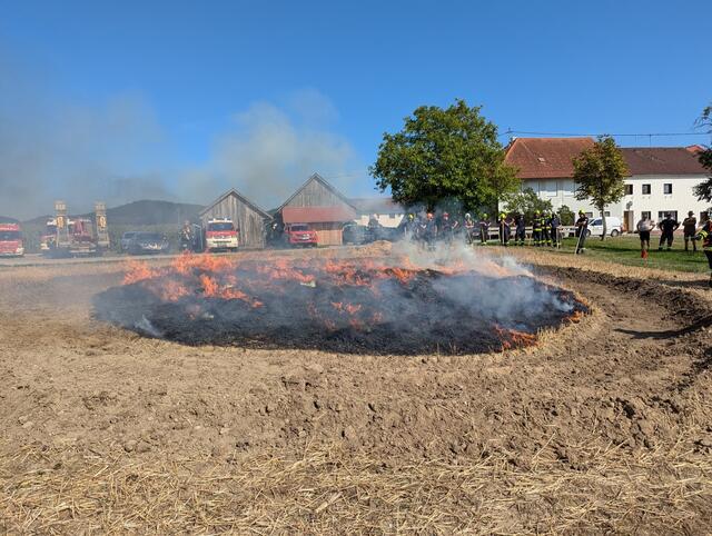 Foto: Georg Riernößl / AFKDO Pregarten
