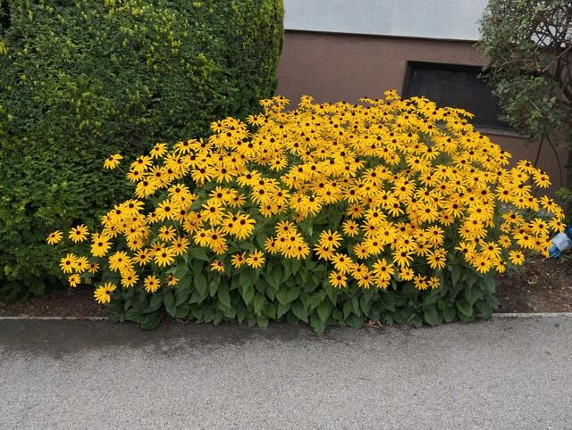 Hilde Zinke | Foto: privat