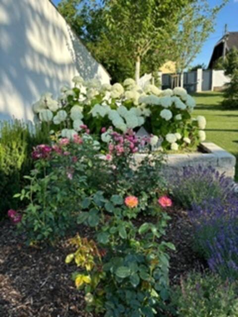 Roswitha Feindert | Foto: privat