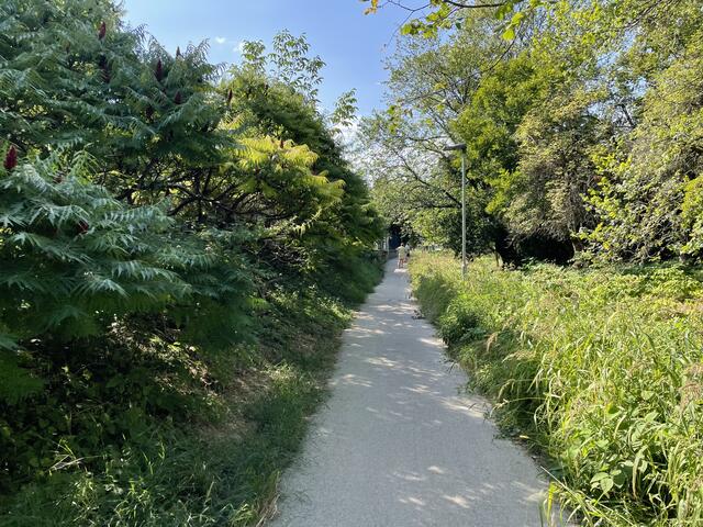 Foto: MeinBezirk/Seebacher