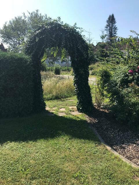 Katharina Höld | Foto: privat