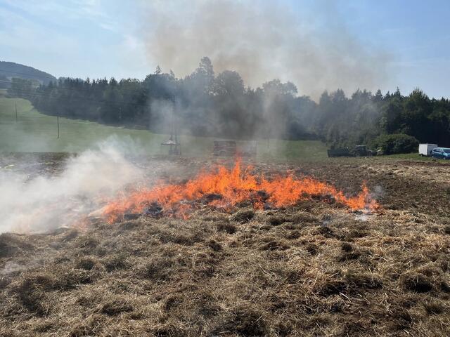 Foto: Georg Riernößl / AFKDO Pregarten