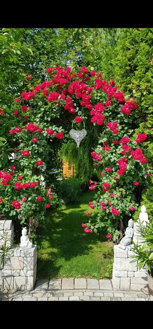 Andrea Zorzi | Foto: privat