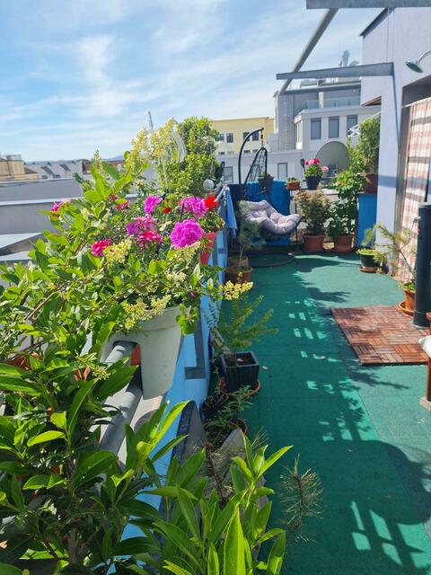 Anton Krenn | Foto: privat