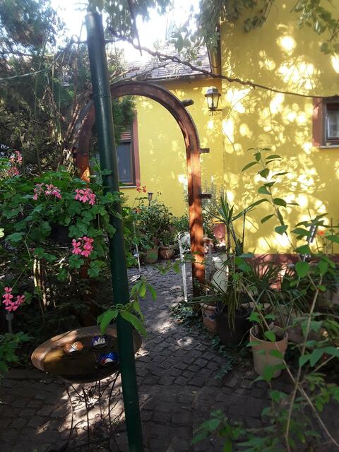 Gabriele Langer | Foto: privat