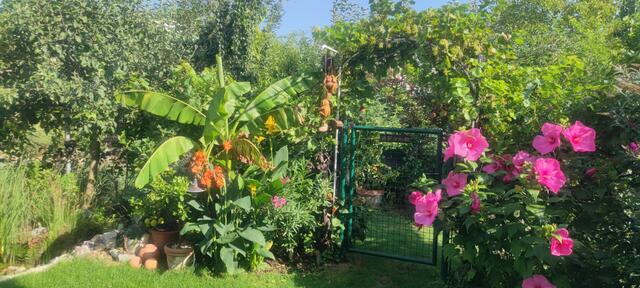 Klaus &amp; Petra Haist-Vidovnik  | Foto: privat