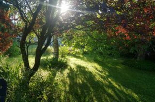 Eva Bastirsch | Foto: privat