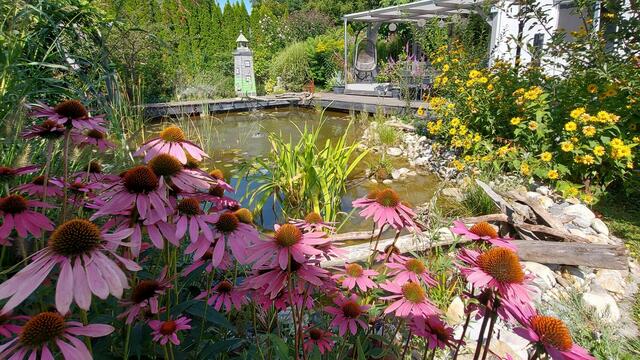 Inge Schrott | Foto: privat