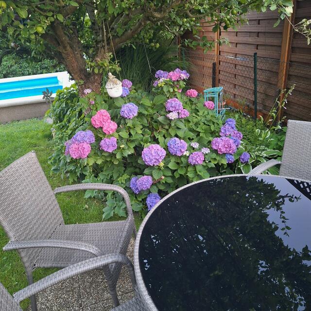 Harald Wimmer | Foto: privat