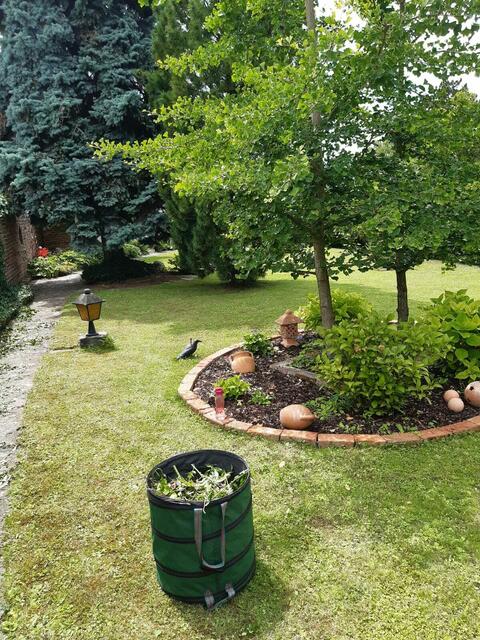 Ingeborg Kremsner | Foto: privat