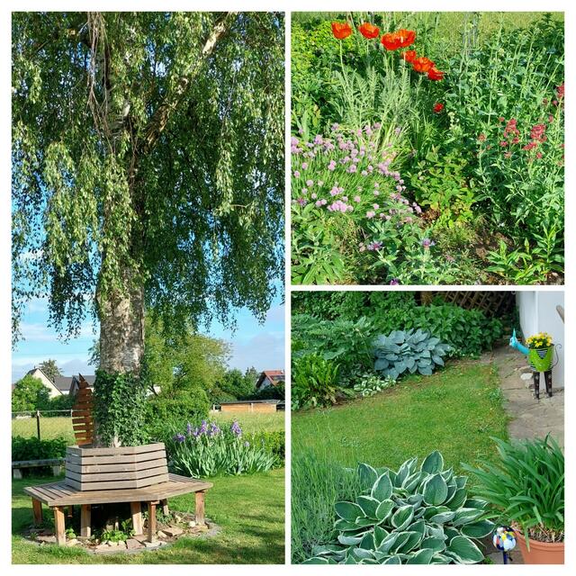 Katharina Gratzer | Foto: privat