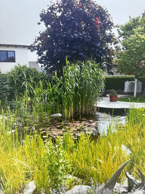 Gerhard Lamberger | Foto: privat