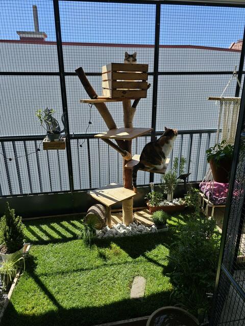 Tobias Wangler  | Foto: privat