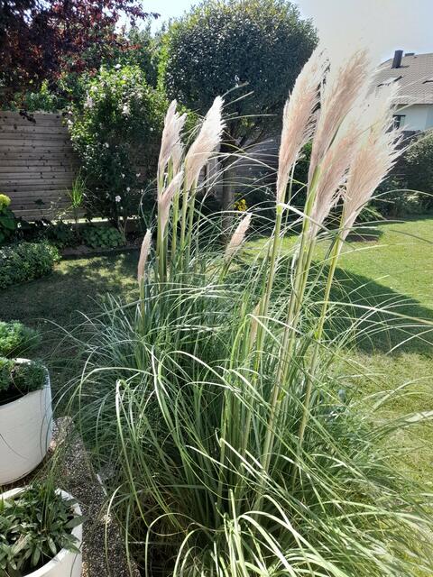 Johanna Hagl | Foto: privat