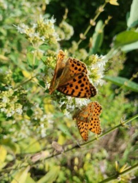 Stephan Kowarik | Foto: privat