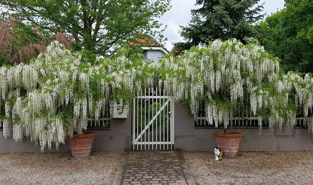 Familie Berger | Foto: privat