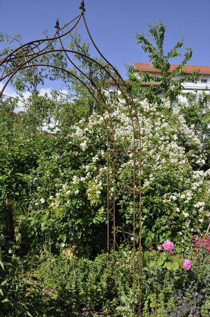 Brigitte Lindner | Foto: privat