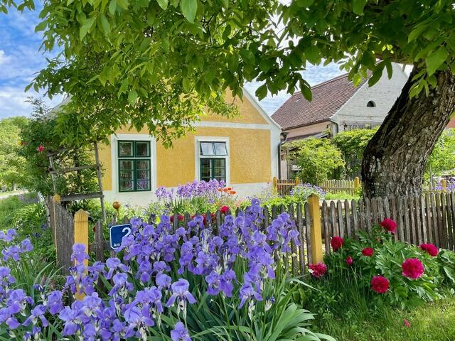 Bernd Dietel und Hildegard Kassel | Foto: privat