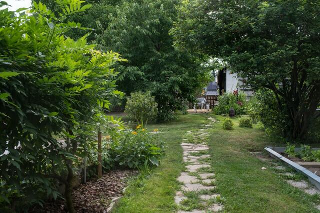 Martin Hollaus | Foto: privat