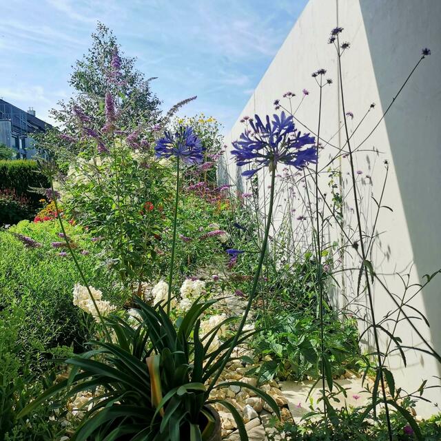 Renate Federmann | Foto: privat